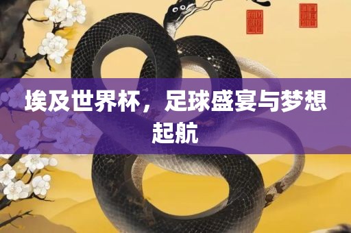 埃及世界杯，足球盛宴与梦想起航眉山市正发家政服务有限公司
