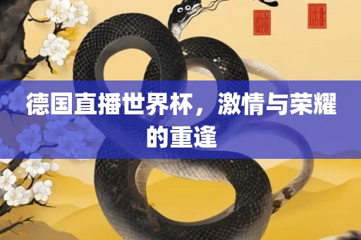 德国直播眉山市正发家政服务有限公司世界杯，激情与荣耀的重逢