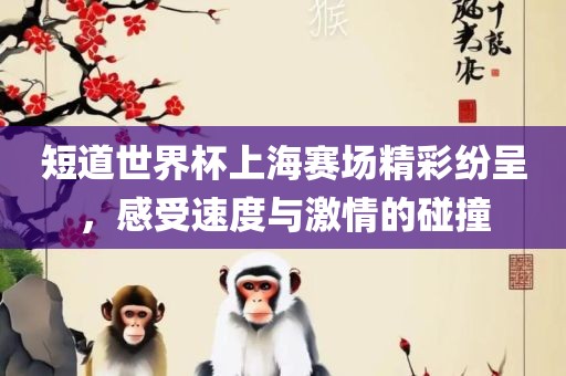 短道世界杯上海赛场精彩纷呈，感受速度与激情的碰撞