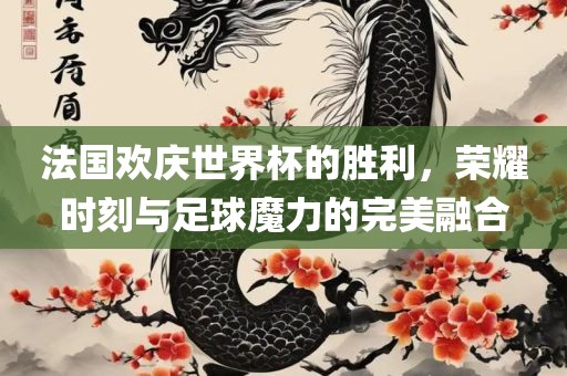 法国欢庆世界杯的胜利，荣耀时刻与足球魔力的完美融合眉山市正发家政服务有限公司