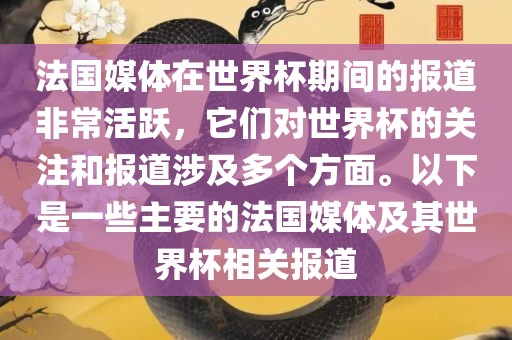 法国媒体在世界杯期间的报道非常活跃，它们对世界杯的关注和报道涉及多个方面。以下是一些主要的法国媒体及其世界杯相关报道