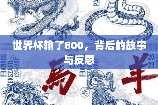 世界杯输了800，背后的故事与反思眉山市正发家政服务有限公司