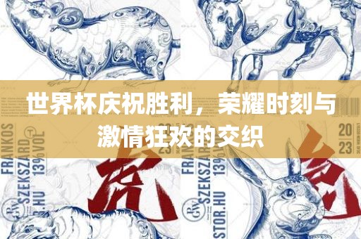 世界杯庆祝胜利，荣耀时刻与激情狂欢的交织眉山市正发家政服务有限公司