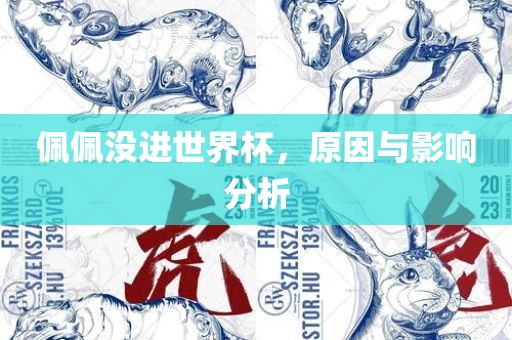 佩佩没进世界杯，原因与影响分析