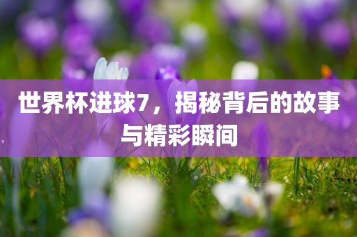 世界杯进球7，揭秘背后的故事与精彩瞬间