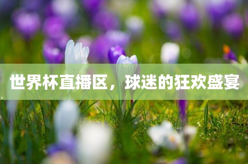 世界杯直播区，球迷的狂欢盛宴