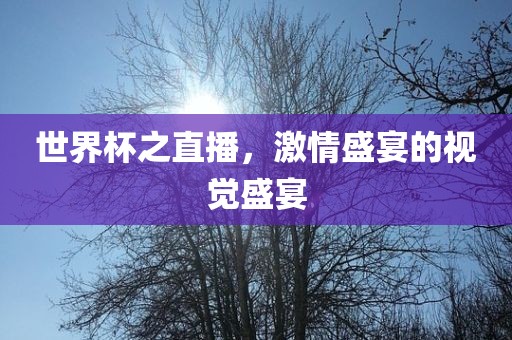 世界杯之直播，激情盛宴的视觉盛宴眉山市正发家政服务有限公司