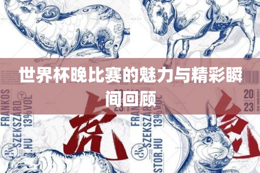 世界杯晚比赛的魅力与精彩瞬间回顾