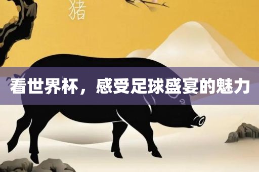 看世界杯，感受足球盛宴的魅力眉山市正发家政服务有限公司