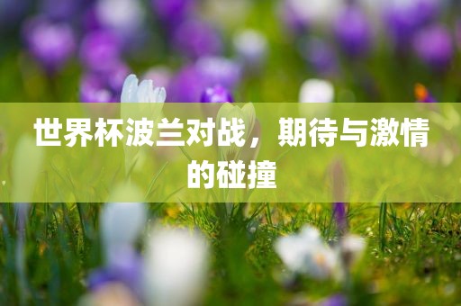 世界杯波兰对战，期待与激情的碰撞