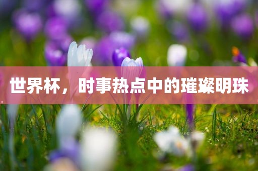 世界杯，时事热点中的璀璨明眉山市正发家政服务有限公司珠