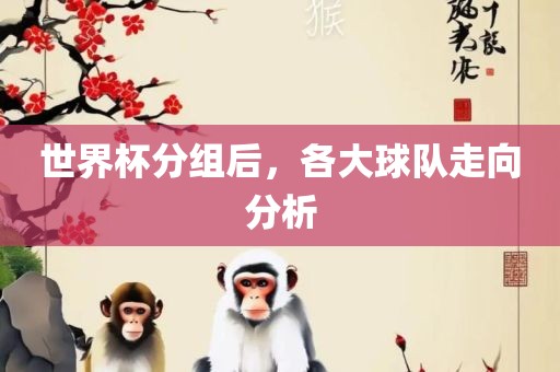 世界杯分组后，各大球队走向分析