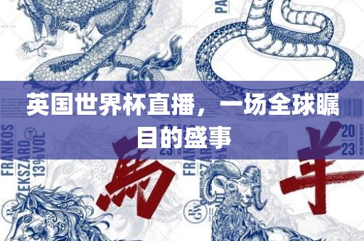英国世界杯直播，一场全球瞩目的盛事眉山市正发家政服务有限公司