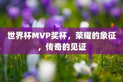 世界杯MVP奖杯，荣耀的象征，传奇的见证