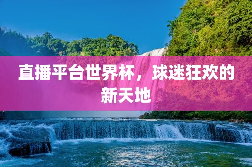 直播平台世界杯，球迷狂欢的新天地眉山市正发家政服务有限公司