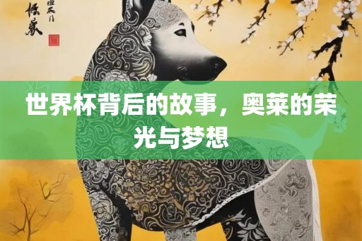 世界杯背后的故事，奥莱的荣光与梦想眉山市正发家政服务有限公司