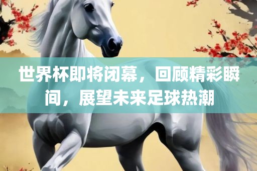 世界杯即将闭幕，回顾精彩瞬间，展望未来足球热潮眉山市正发家政服务有限公司