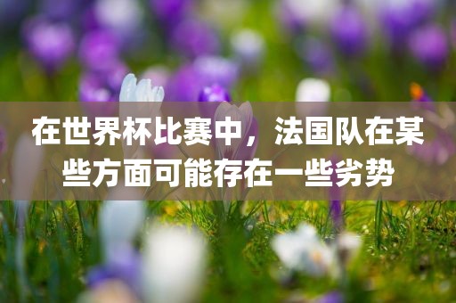 在世界杯比赛中，法国队在某些方面可眉山市正发家政服务有限公司能存在一些劣势