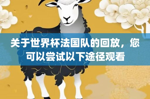 关于世界杯法国队的回放，您可以尝试以下途径观看