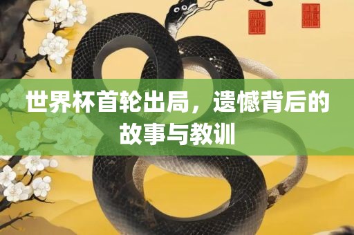 世界杯首轮出局，遗憾背后的故事与教训眉山市正发家政服务有限公司