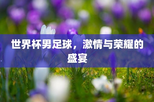 世界杯男足球，激情与荣耀的盛宴眉山市正发家政服务有限公司