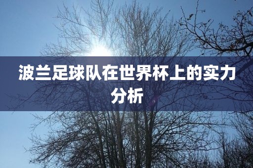 波兰足球队在世界杯上的实力分析