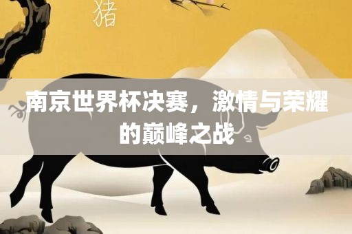 南京世界杯决赛，激情与荣耀的巅峰之战