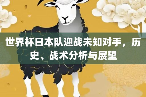 世界杯日本队迎战未知对手，历史、战术分析与展望