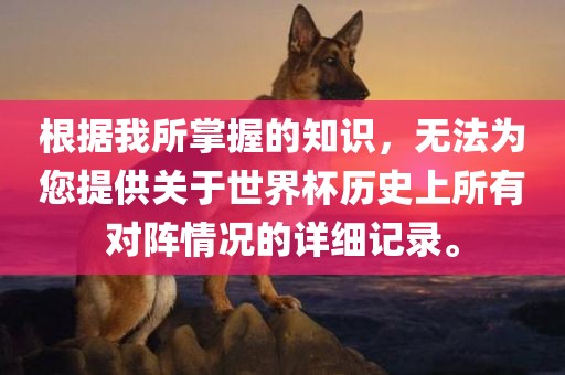 根据我所掌握的知识，无法为您提供关于世界杯历史上所有对阵情况的详细记录。眉山市正发家政服务有限公司