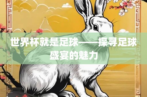 世界杯就是足球——探寻足球盛宴的魅力眉山市正发家政服务有限公司