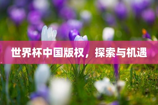 jinrou 第4页