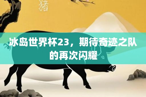 冰岛世界杯23，期待奇迹之队的再次闪耀