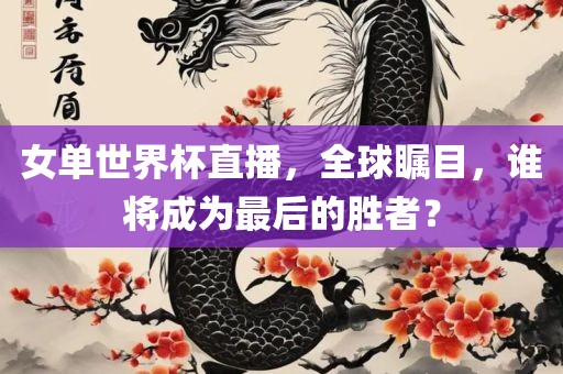 女单世界杯直播，全球瞩目，谁将成为最后的胜者？眉山市正发家政服务有限公司