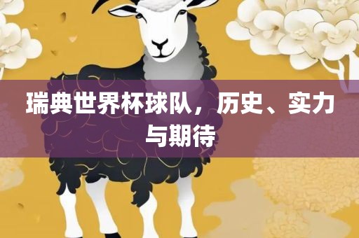 瑞典世界杯球队，历史、实力与期待