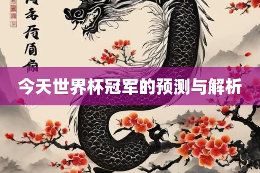 今天世界杯冠军的预测与解析
