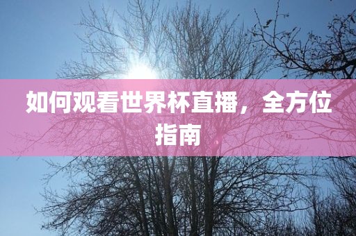 如何观看世界杯直播，全方位指南