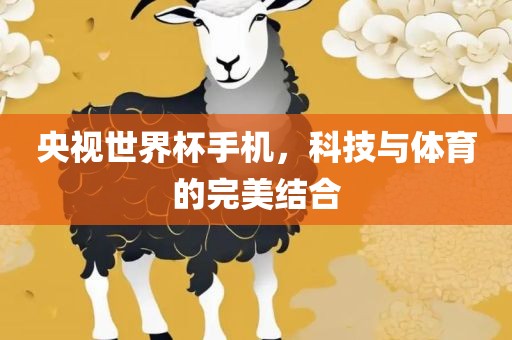 央视世界杯手机，科技与体育的完美结合