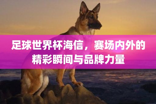 meinan 第3页