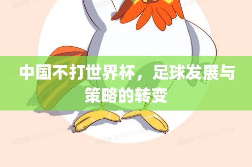 中国不打世界杯，足球发展与策略的转变眉山市正发家政服务有限公司