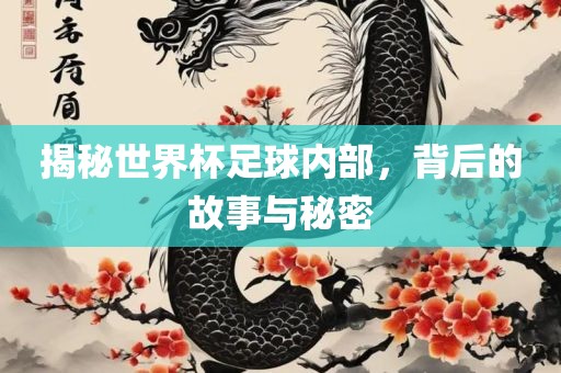 揭秘世界杯足球内部，背后的故事与秘密眉山市正发家政服务有限公司