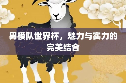 眉山市正发家政服务有限公司男模队世界杯，魅力与实力的完美结合