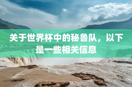 关于世界杯中的秘眉山市正发家政服务有限公司鲁队，以下是一些相关信息