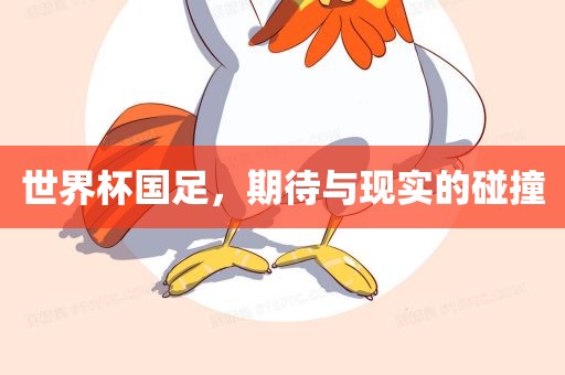 世界杯国足，期待与现实的碰撞