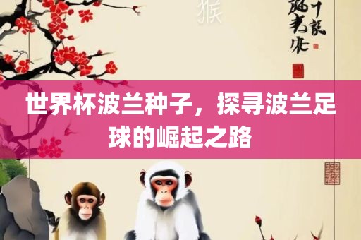 世界杯波兰种子，探寻波兰足球的崛起之路