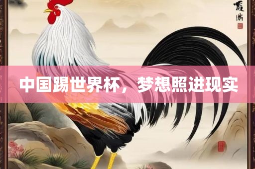 中国踢世界杯，梦想照进现实