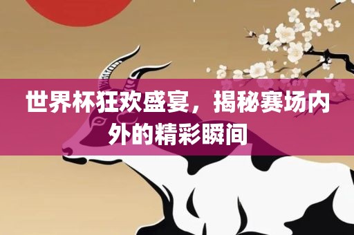 世界杯狂欢盛宴，揭秘赛场内外的精彩瞬间