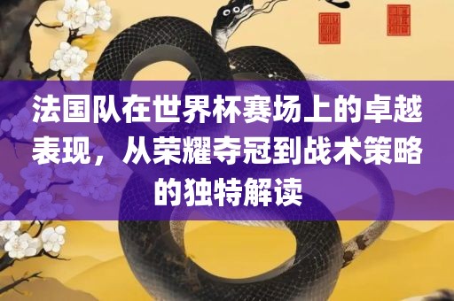 法国队在世界杯赛场上的卓越表现，从荣耀夺冠到战术策略的独特解读
