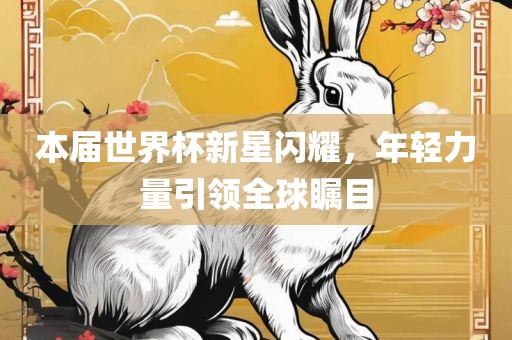 本届世界杯新星闪耀，年轻力量引领全球瞩目