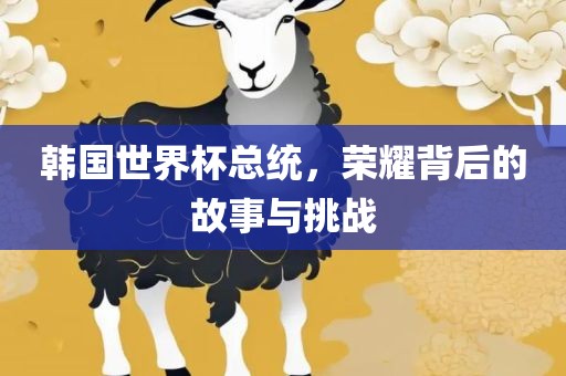 韩国世界杯总统，荣耀背后的故事与挑战
