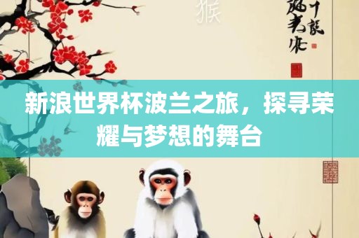 新浪世界杯波兰之旅，探寻荣耀与梦想的舞台